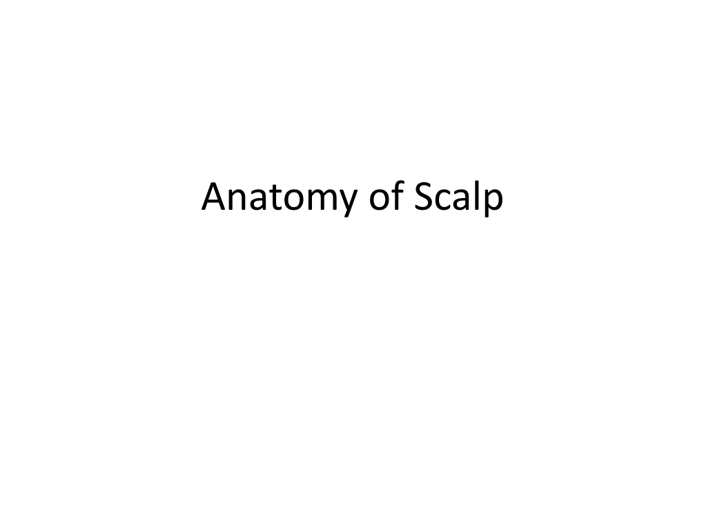 Arterial Supply of the Scalp