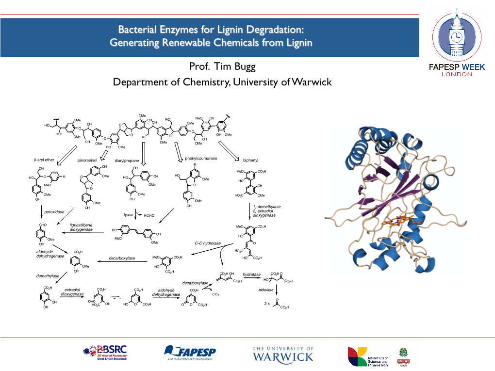 Prof. Tim Bugg Department of Chemistry, University of Warwick