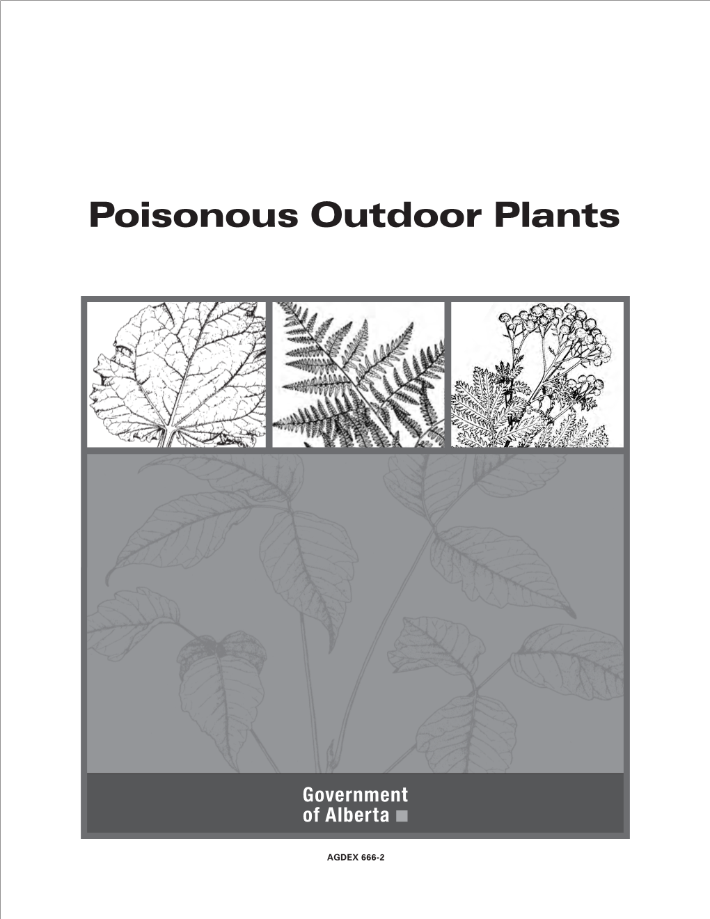 Poisonous Outdoor Plants