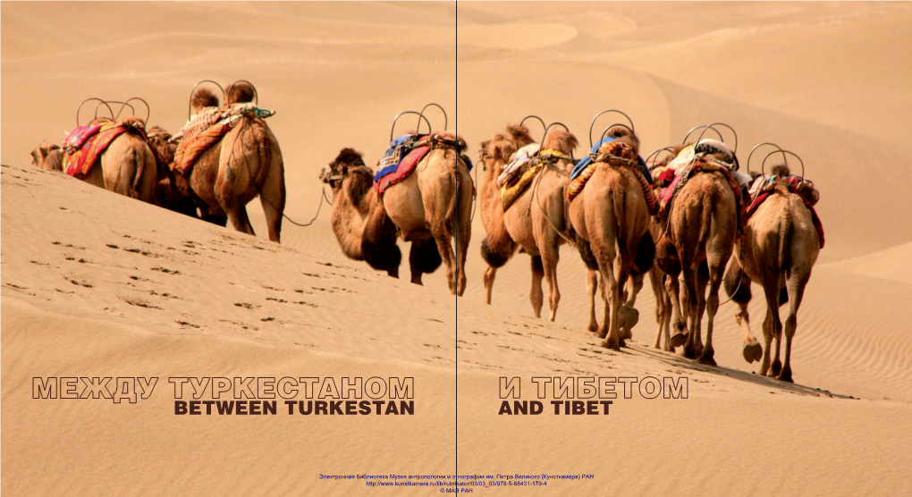 Between Turkestan and Tibet