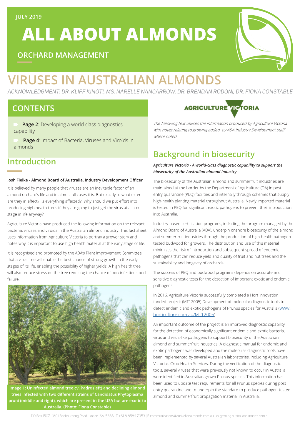 All About Almonds Orchard Management