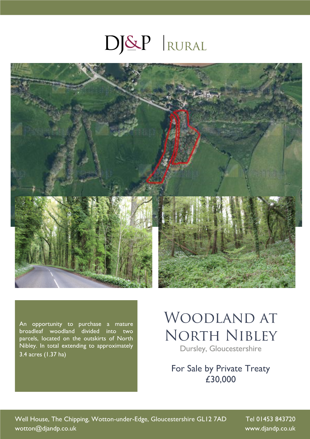 Woodland at North Nibley