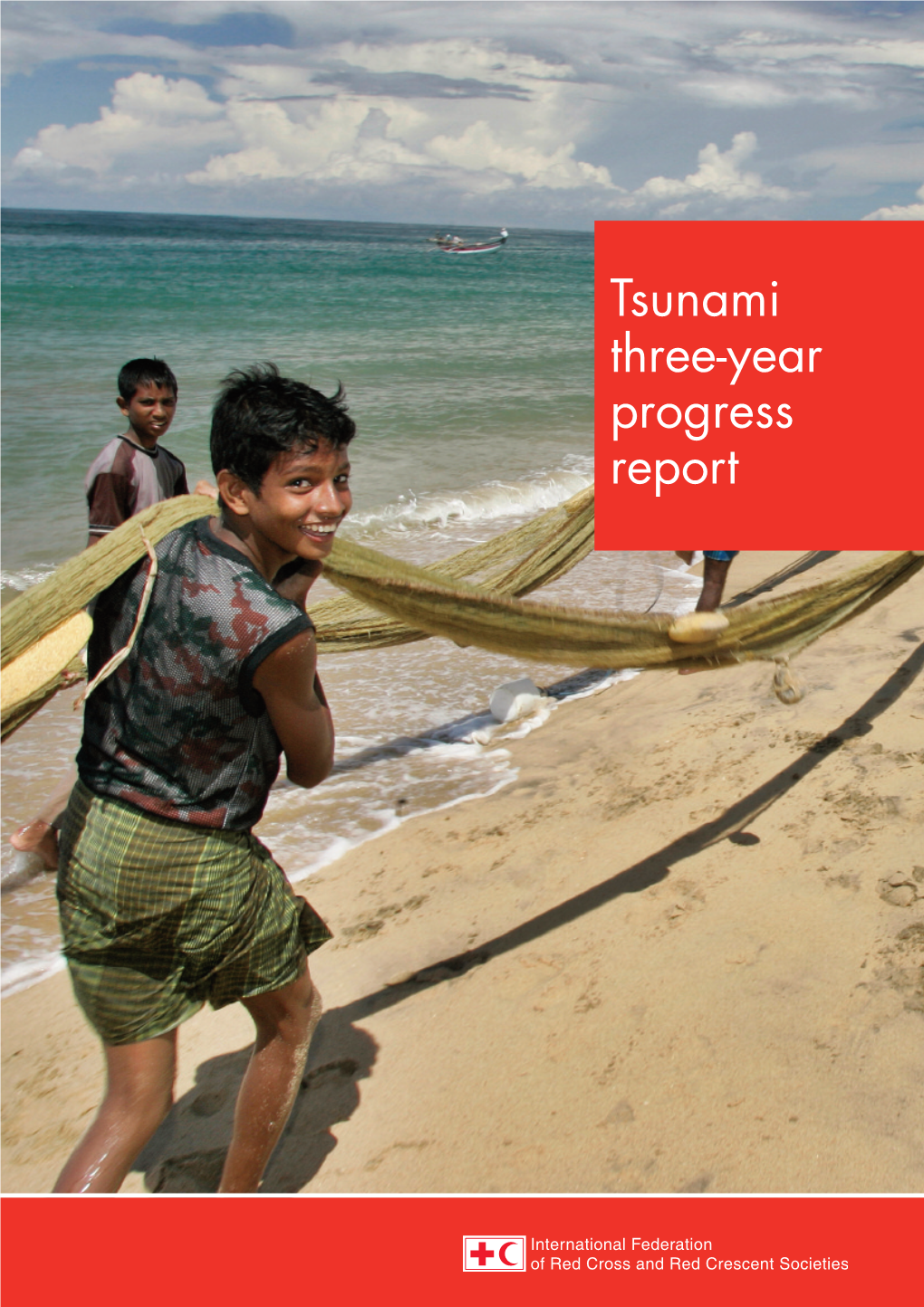 The Information Portrayed in This Tsunami Three Year Progress Report