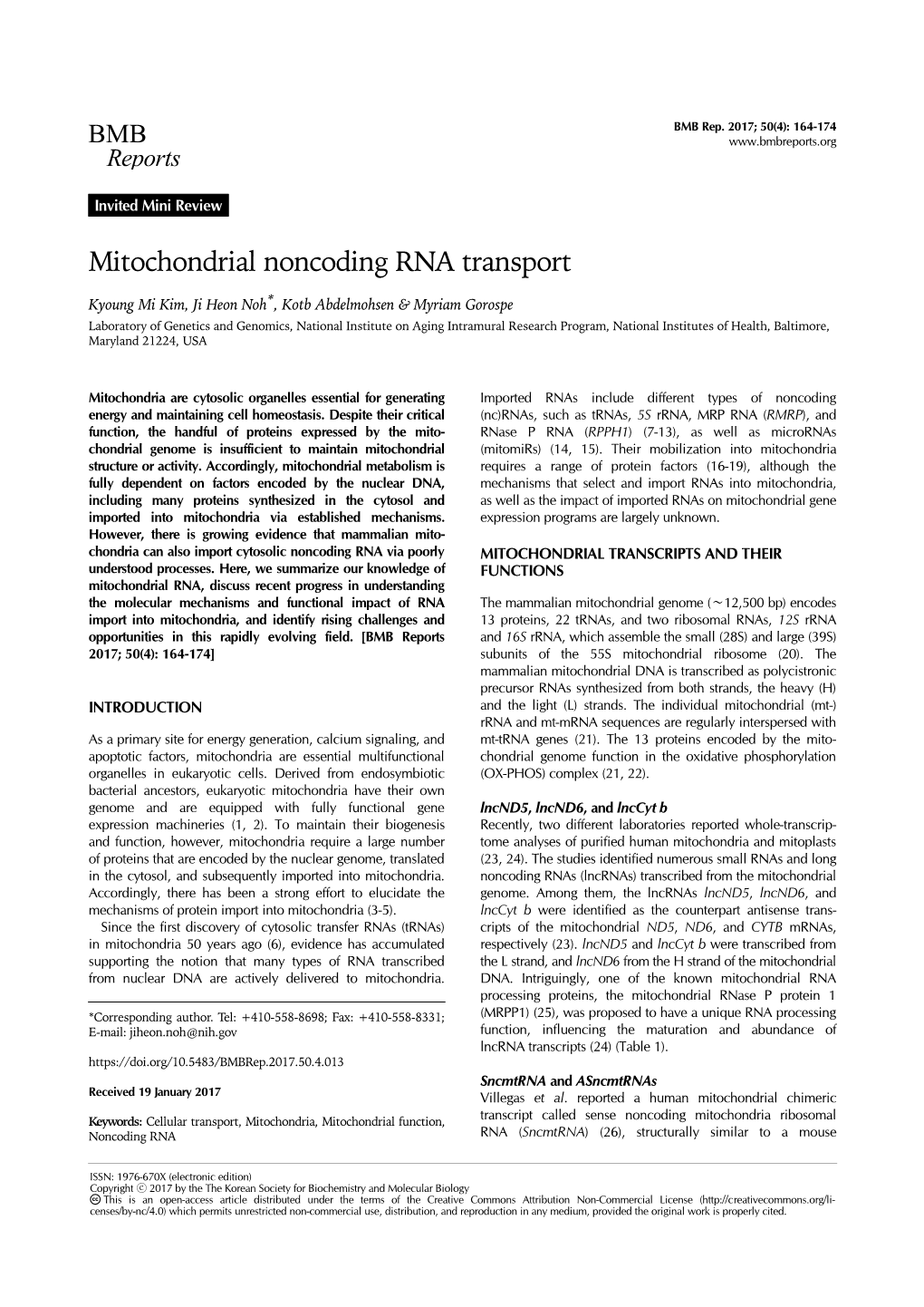 Mitochondrial Noncoding RNA Transport