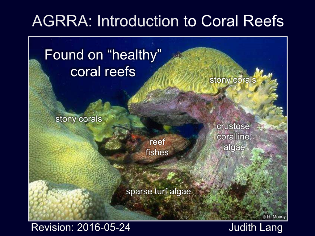 Introduction to Coral Reefs