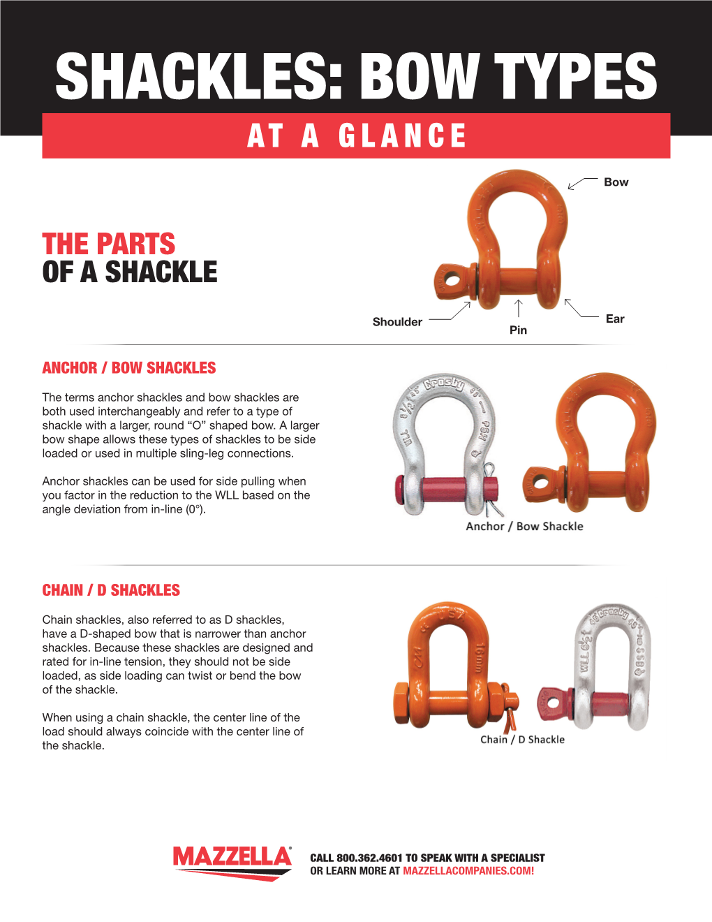 Shackles: Bow Types at a Glance