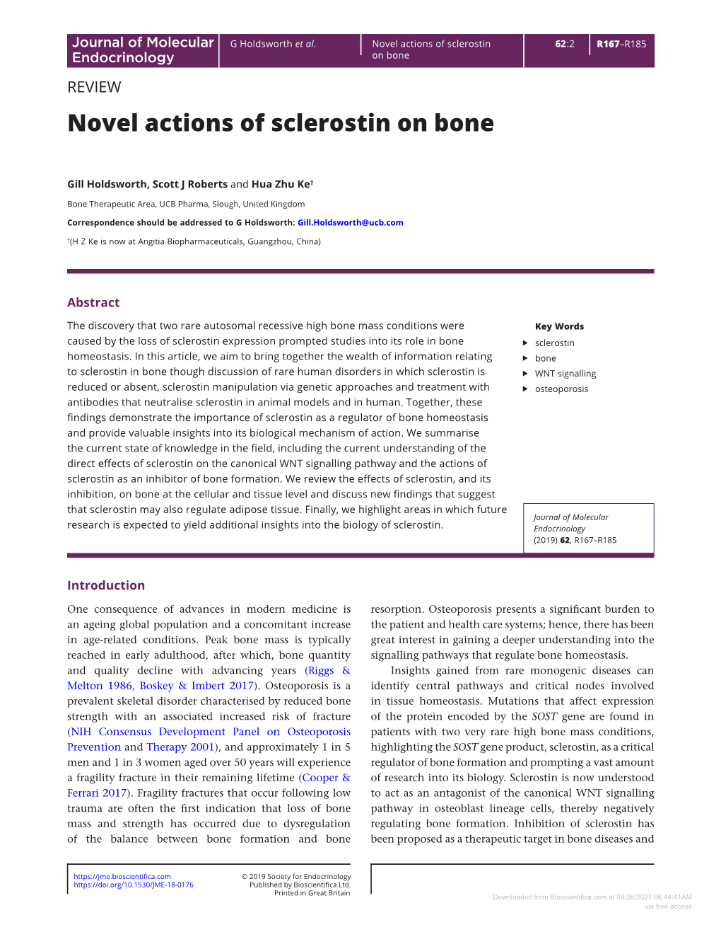Novel Actions of Sclerostin on Bone