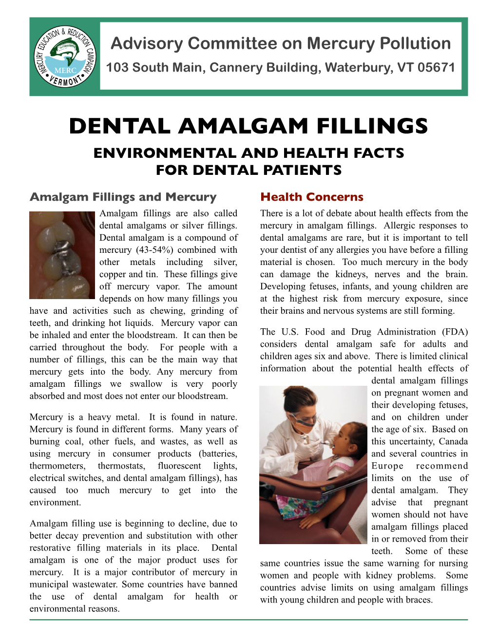 Dental Amalgam Fact Sheet 5