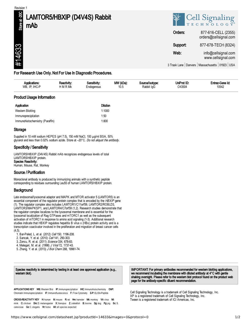 14633 LAMTOR5/HBXIP (D4V4S) Rabbit Mab