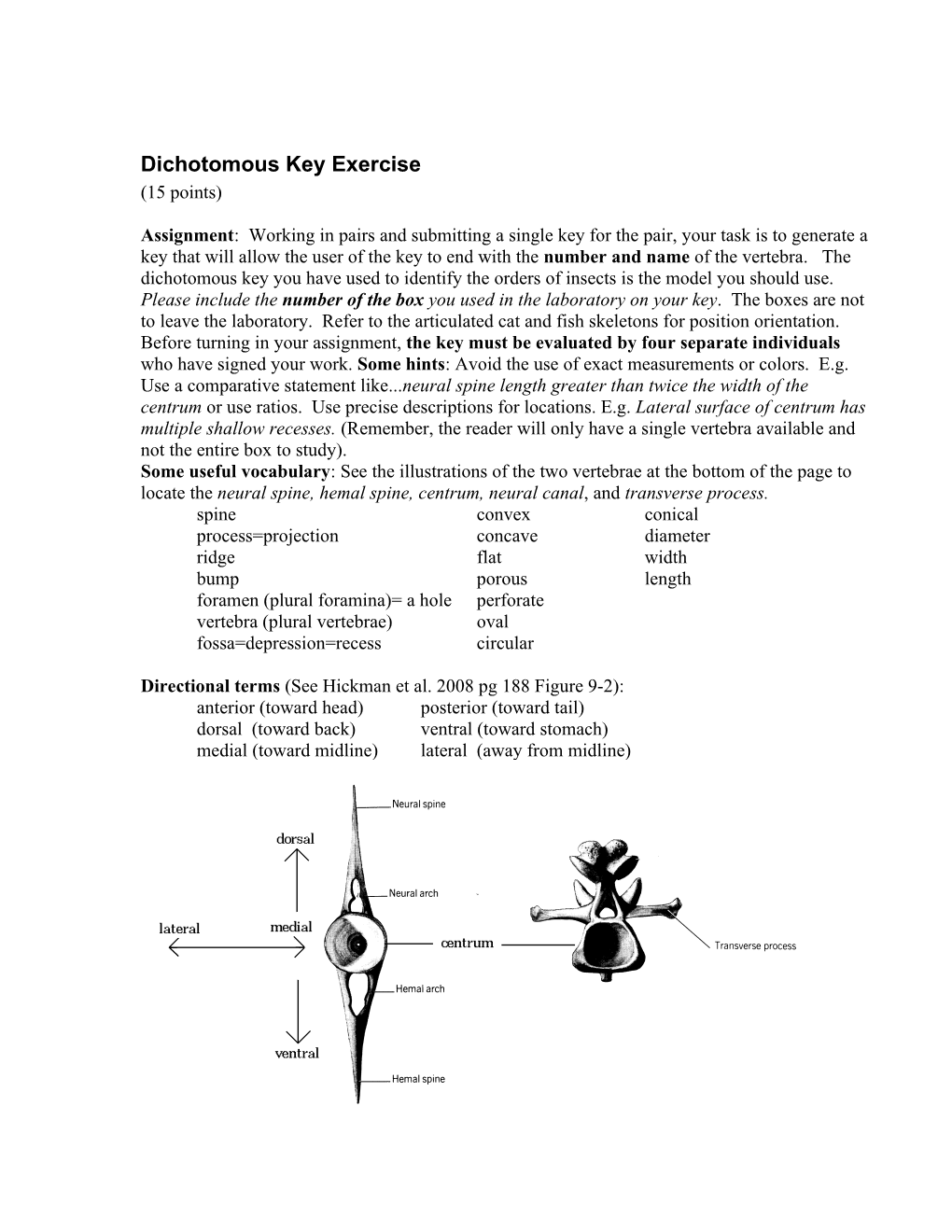 Dichotomous Key Exercise