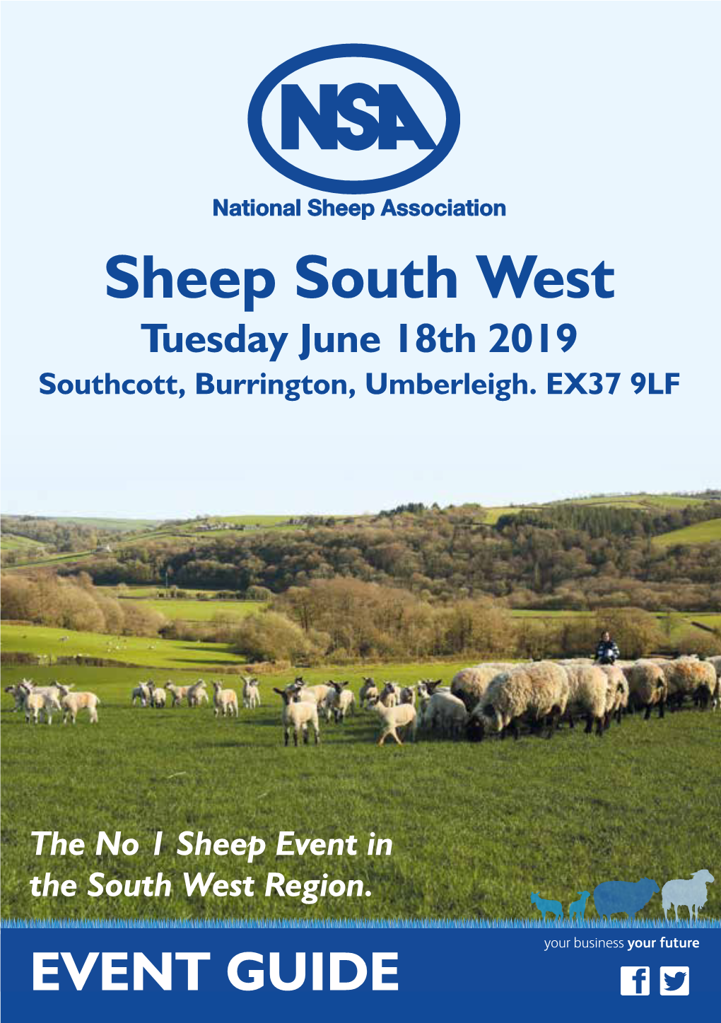 Sheep South West Tuesday June 18Th 2019 Southcott, Burrington, Umberleigh