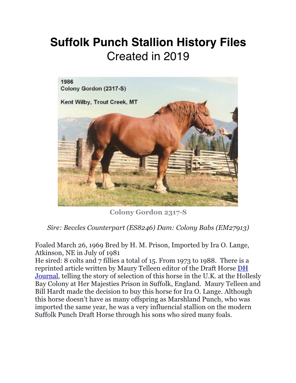 Stallion History File Word