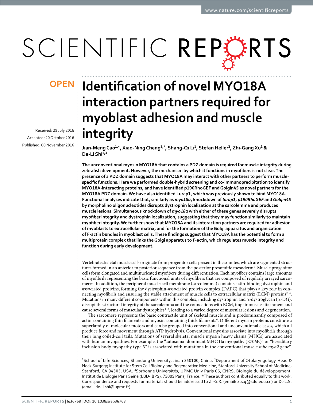 Identification of Novel MYO18A Interaction Partners Required For