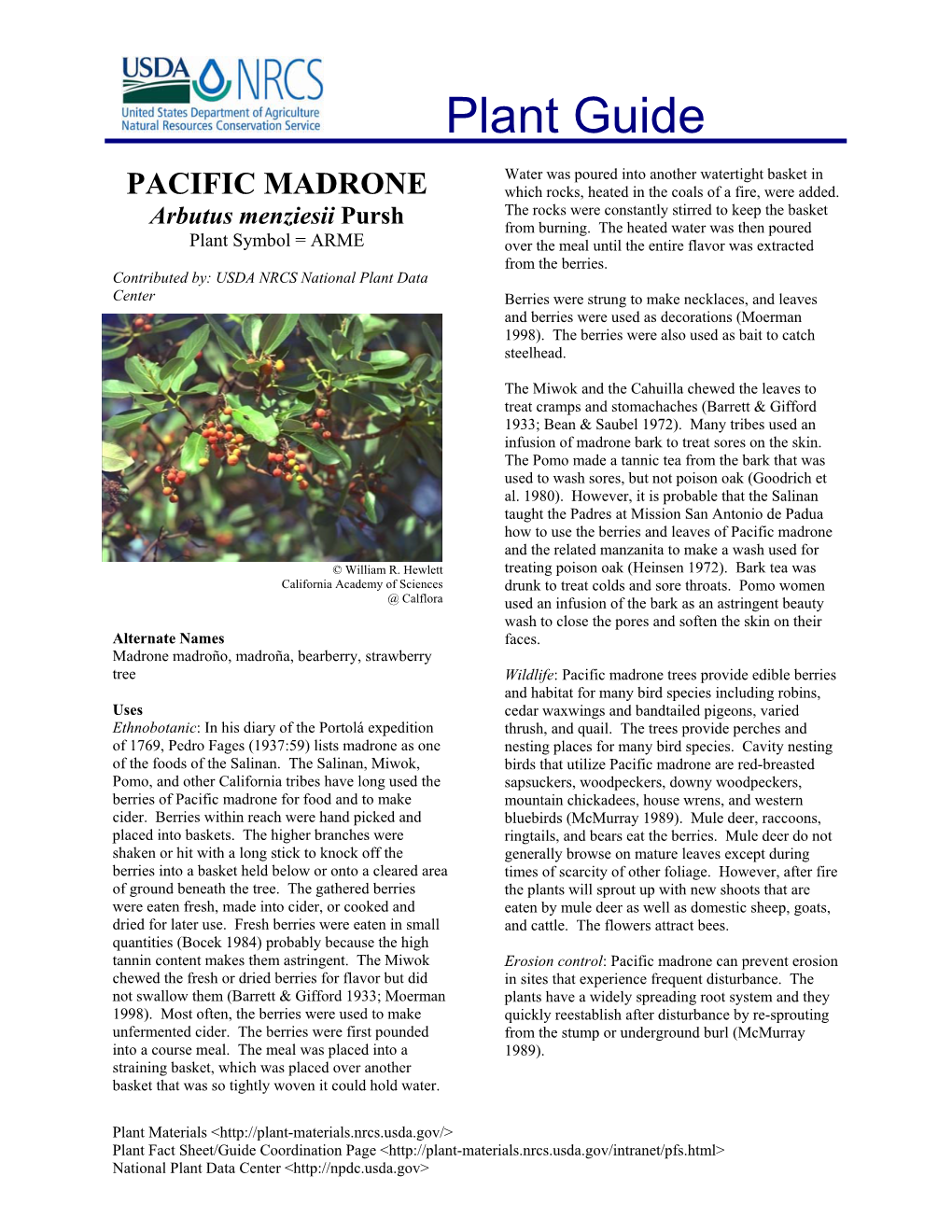 PACIFIC MADRONE Which Rocks, Heated in the Coals of a Fire, Were Added