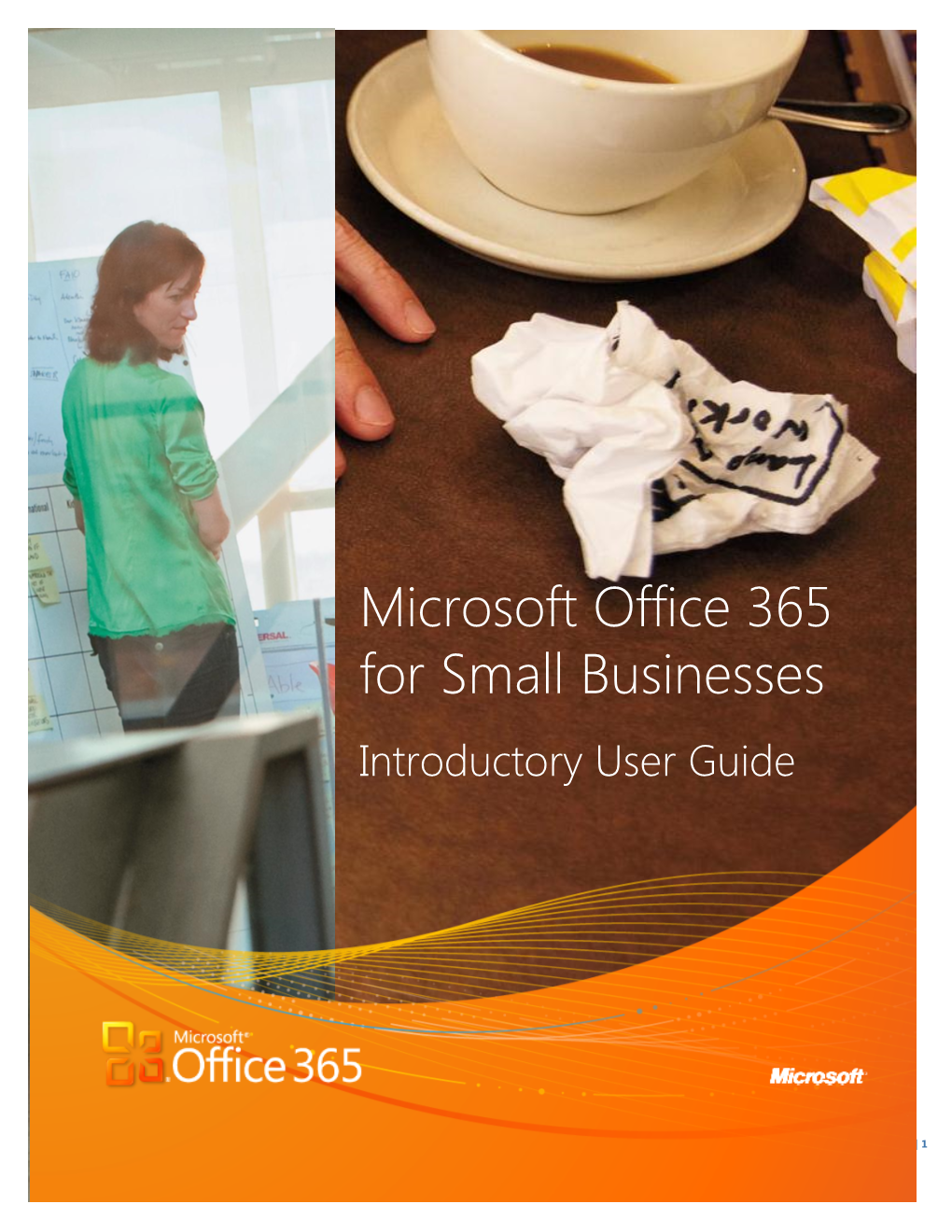 Microsoft Office 365 for Small Businesses Introductory User Guide