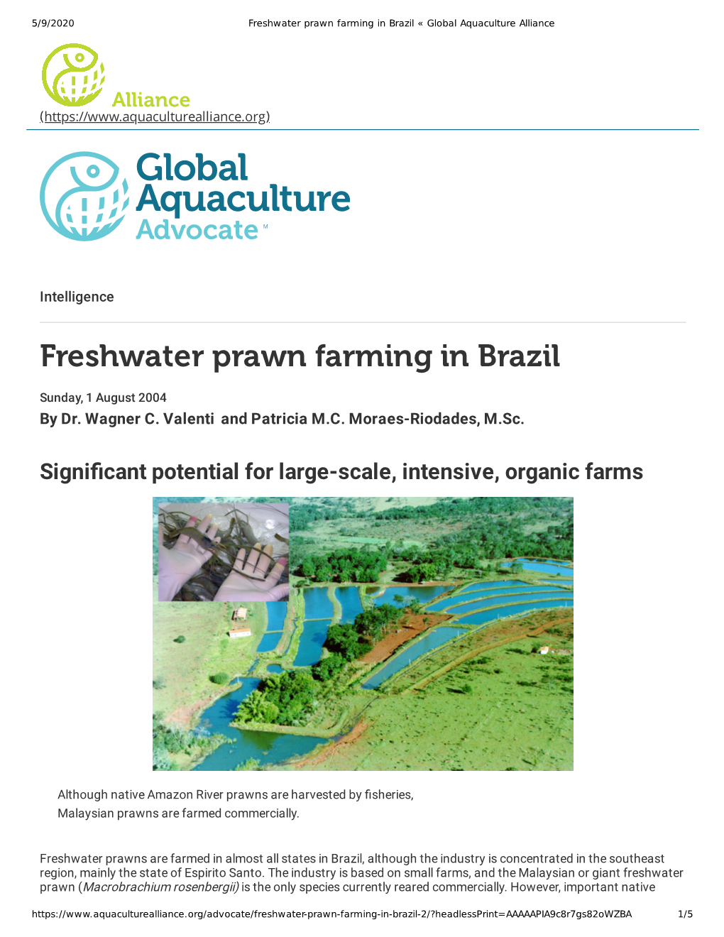 Freshwater Prawn Farming in Brazil « Global Aquaculture Alliance