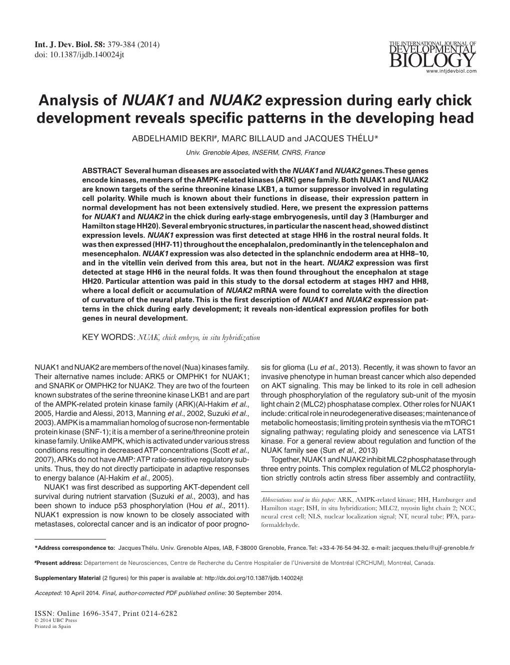 Analysis of NUAK1 and NUAK2 Expression During Early Chick