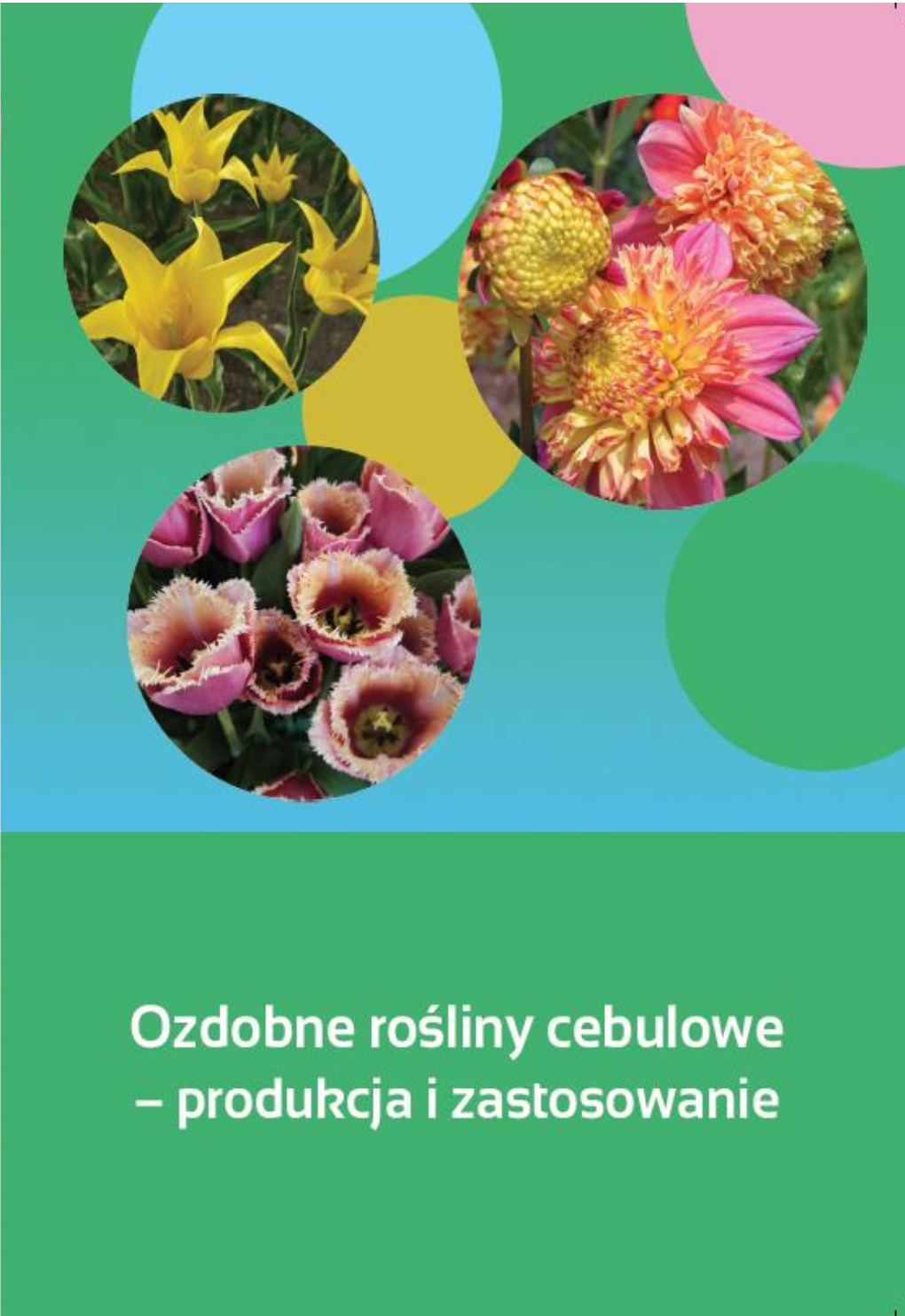 Ozdobne Rośliny Cebulowe – Produkcja I Zastosowanie