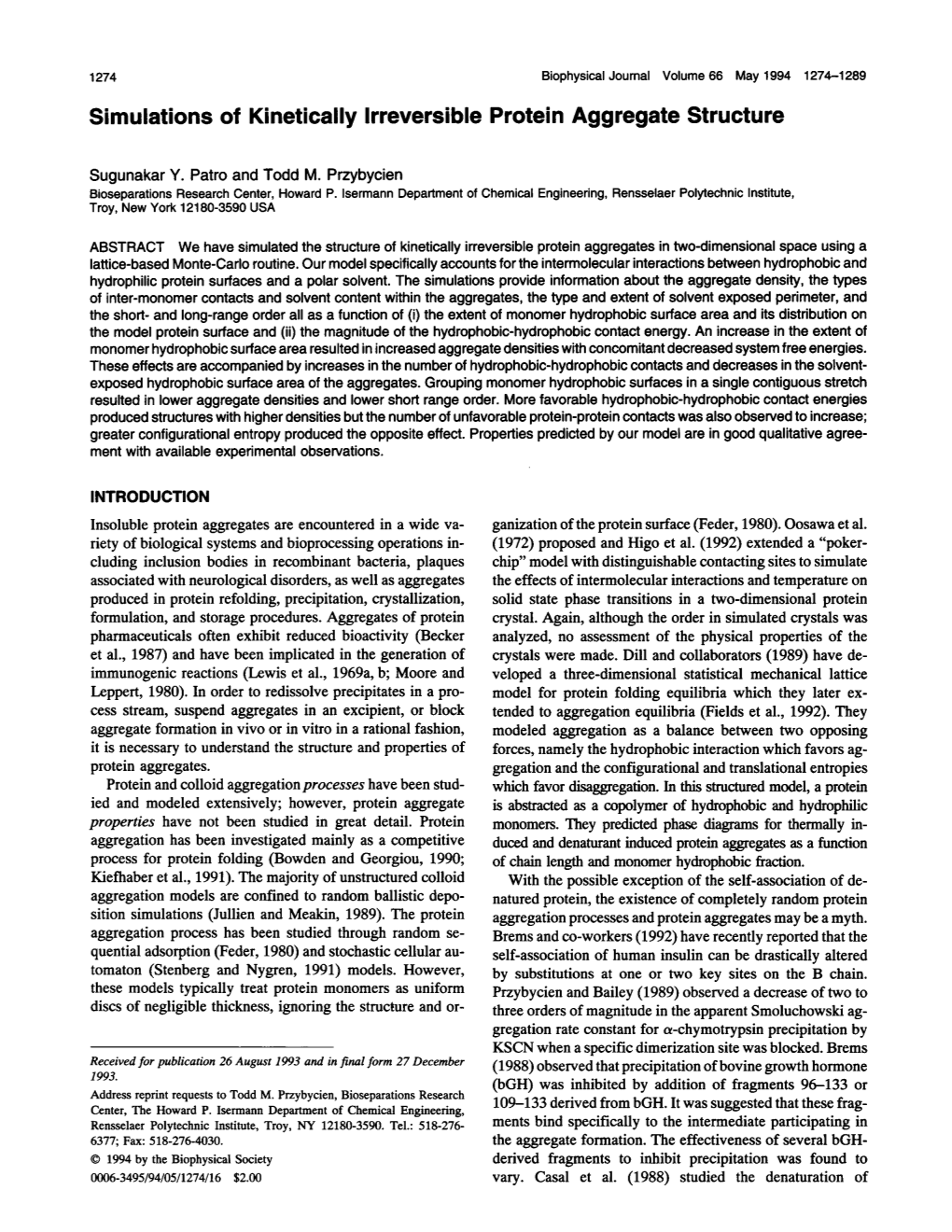 Simulations of Kinetically Irreversible Protein Aggregate Structure