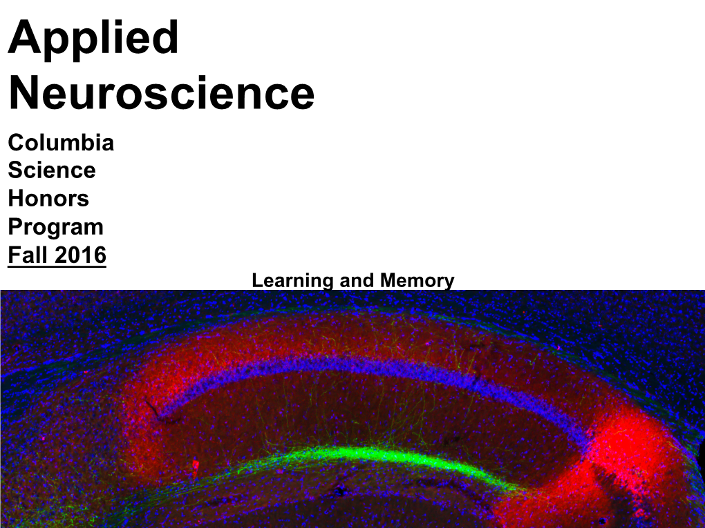 Learning and Memory Mathematical Models of Single Neurons Learning and Memory Learning and Memory Objective: Current Understanding of Learning and Memory Agenda: 1