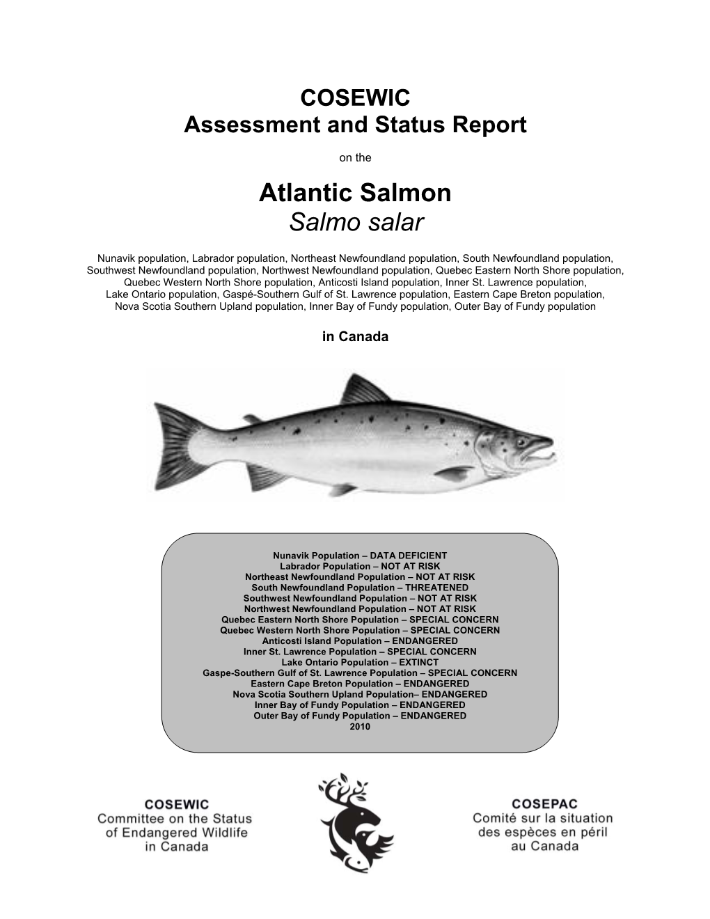 Atlantic Salmon Salmo Salar