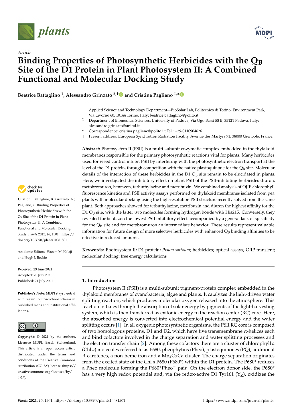 Binding Properties of Photosynthetic Herbicides with the QB Site of the D1 Protein in Plant Photosystem II: a Combined Functional and Molecular Docking Study