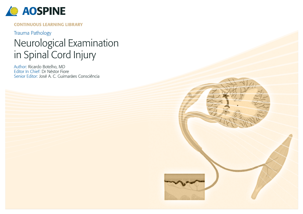 Neurological Examination in Spinal Cord Injury Author: Ricardo Botelho, MD Editor in Chief: Dr Néstor Fiore Senior Editor: José A