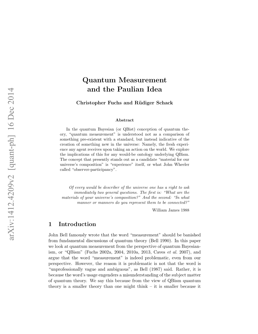 Quantum Measurement and the Paulian Idea