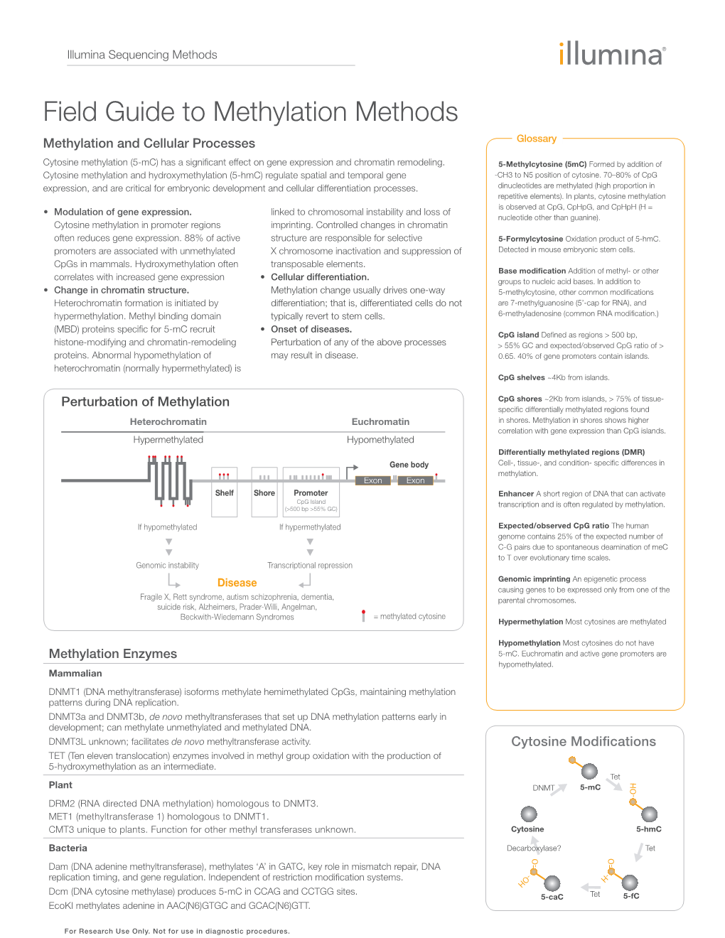 Field Guide to Methylation Methods Methylation and Cellular Processes Glossary