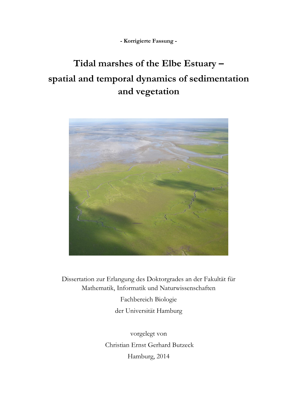 Tidal Marshes of the Elbe Estuary – Spatial and Temporal Dynamics of Sedimentation and Vegetation