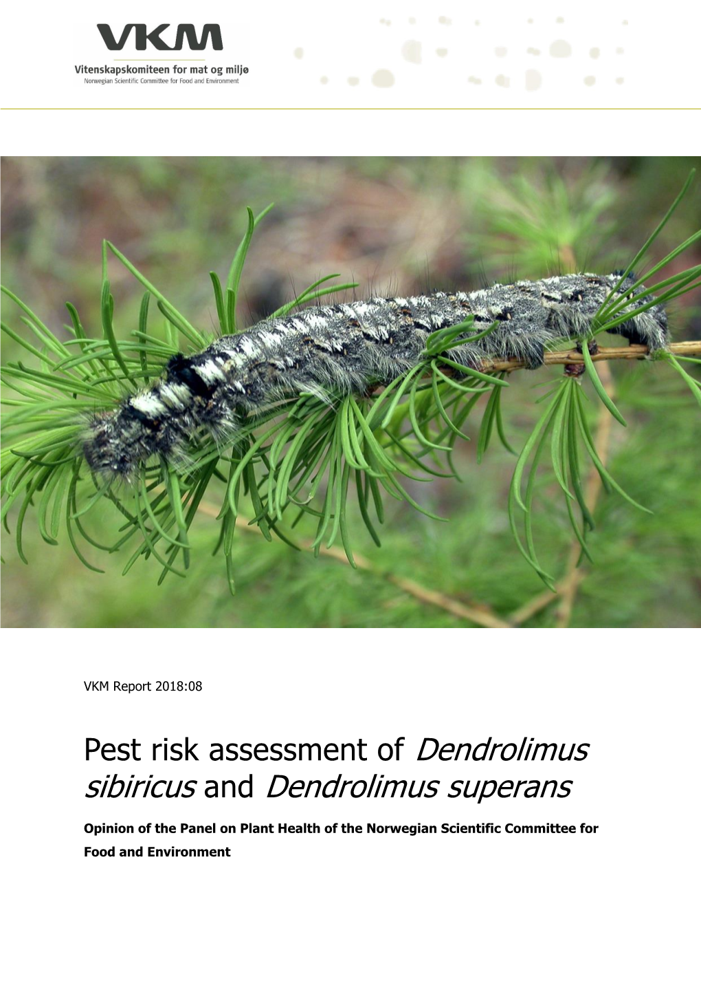 Pest Risk Assessment of Dendrolimus Sibiricus and Dendrolimus Superans