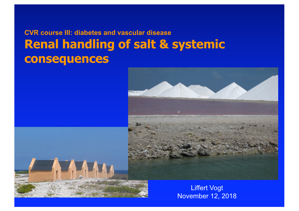 Renal Handling of Salt & Systemic Consequences