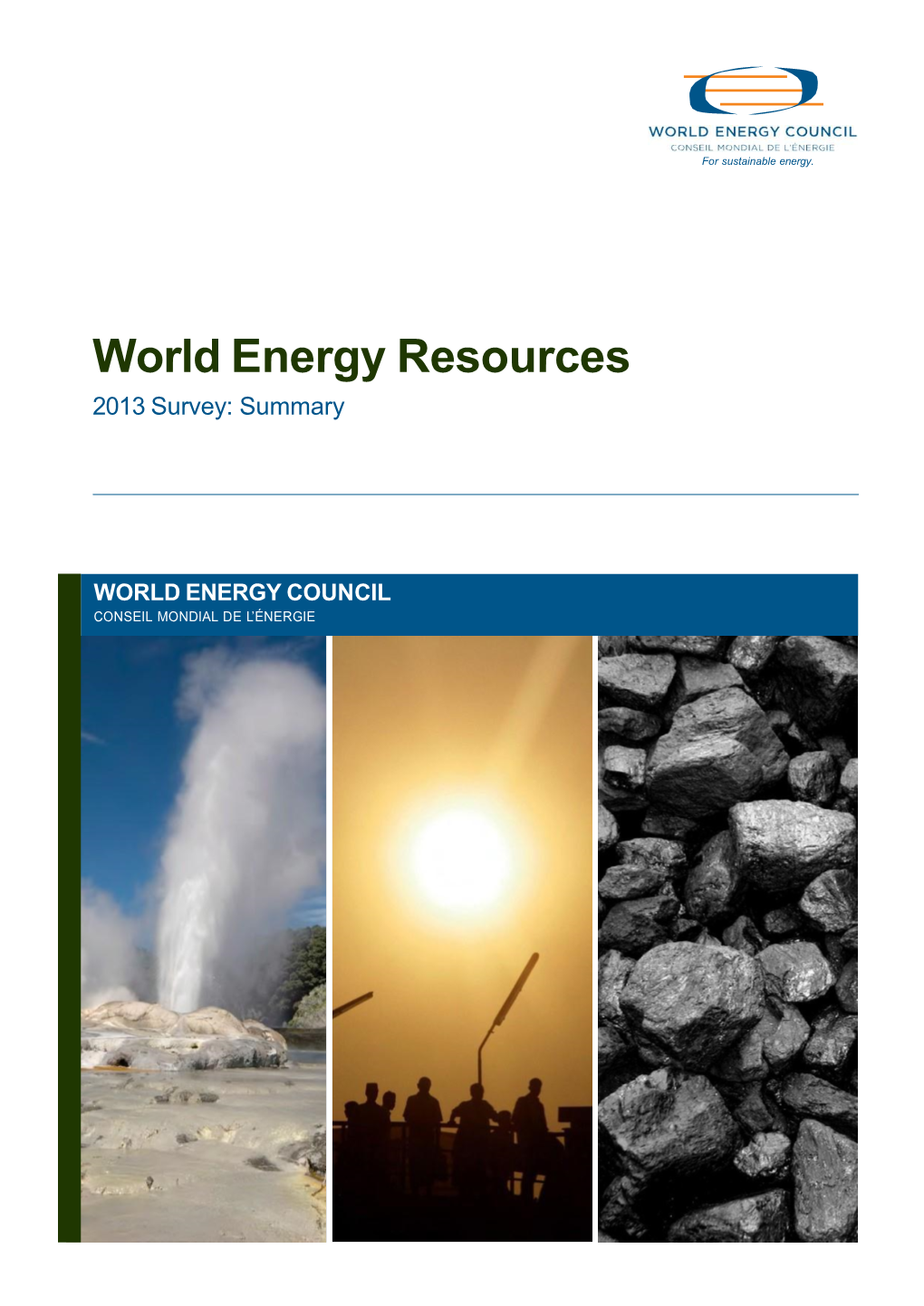 World Energy Resources 2013 Survey: Summary