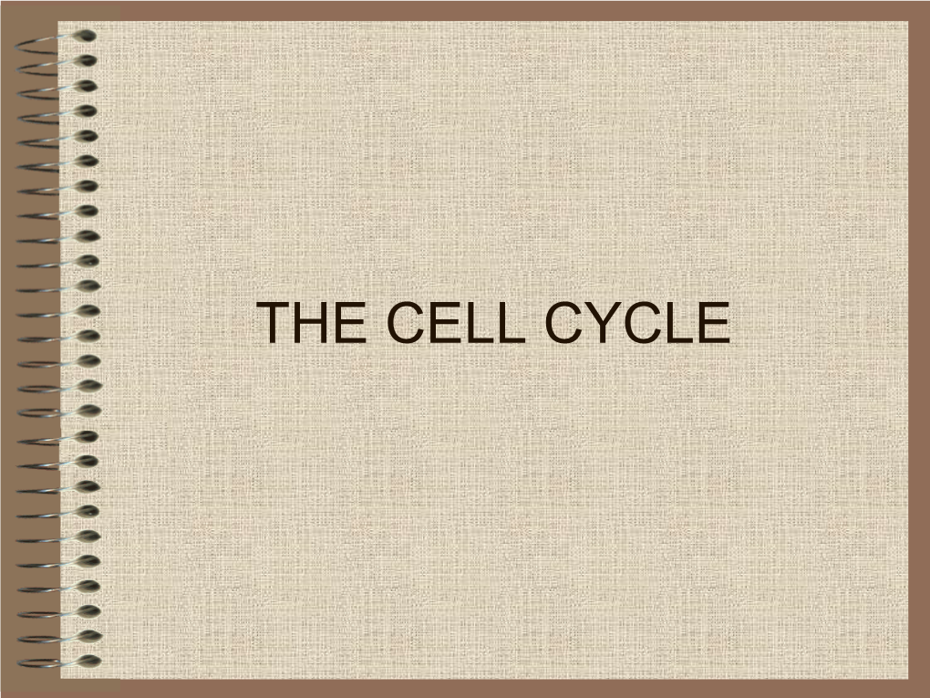 Cell Division: Mitosis