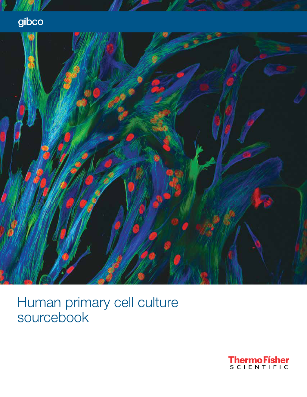 Human Primary Cell Culture Sourcebook Achieve More Predictive Results