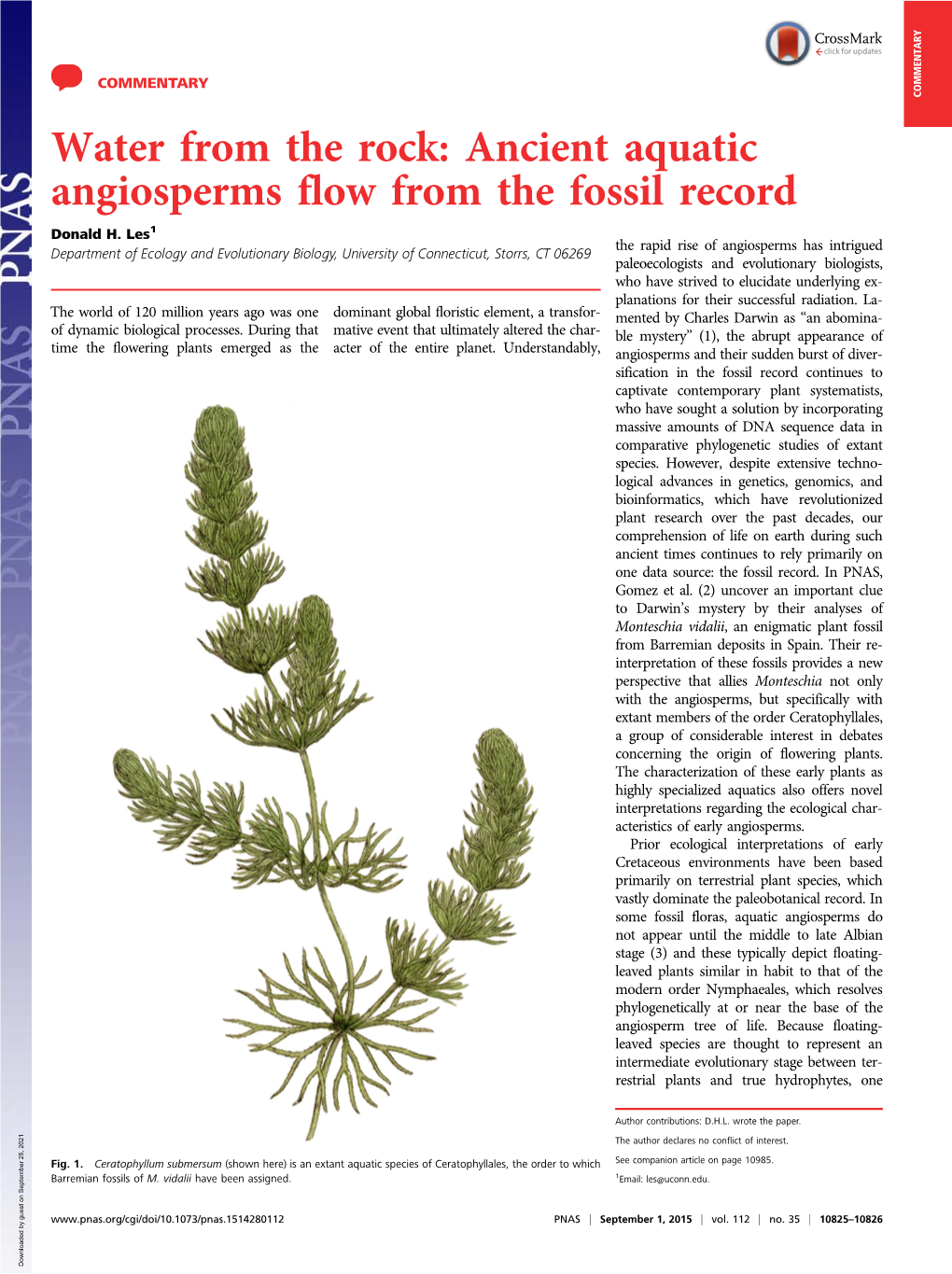 Ancient Aquatic Angiosperms Flow from the Fossil Record Donald H