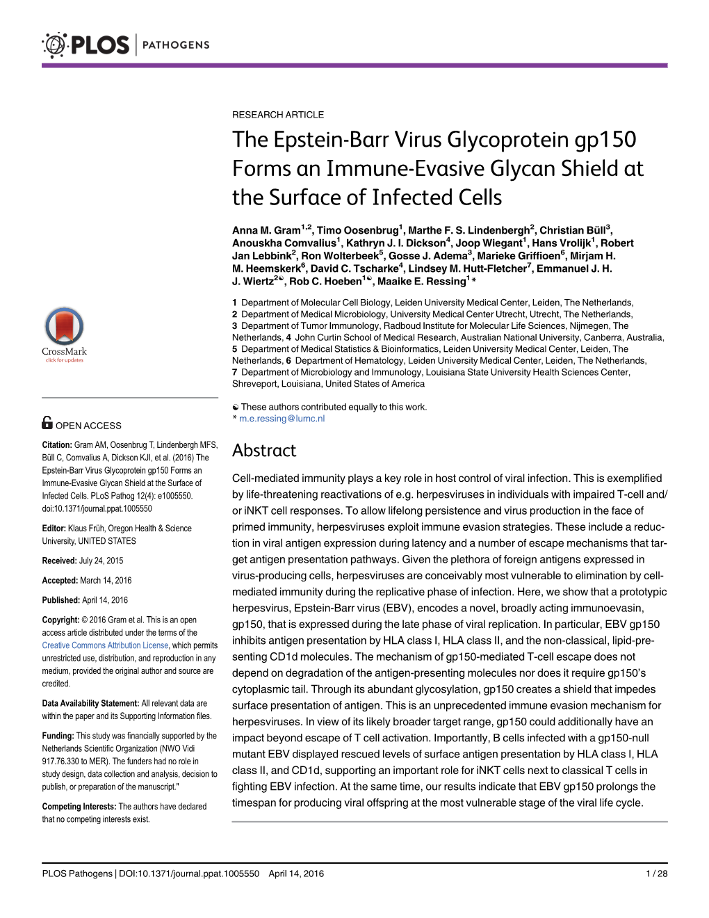 The Epstein-Barr Virus Glycoprotein Gp150 Forms an Immune-Evasive Glycan Shield at the Surface of Infected Cells