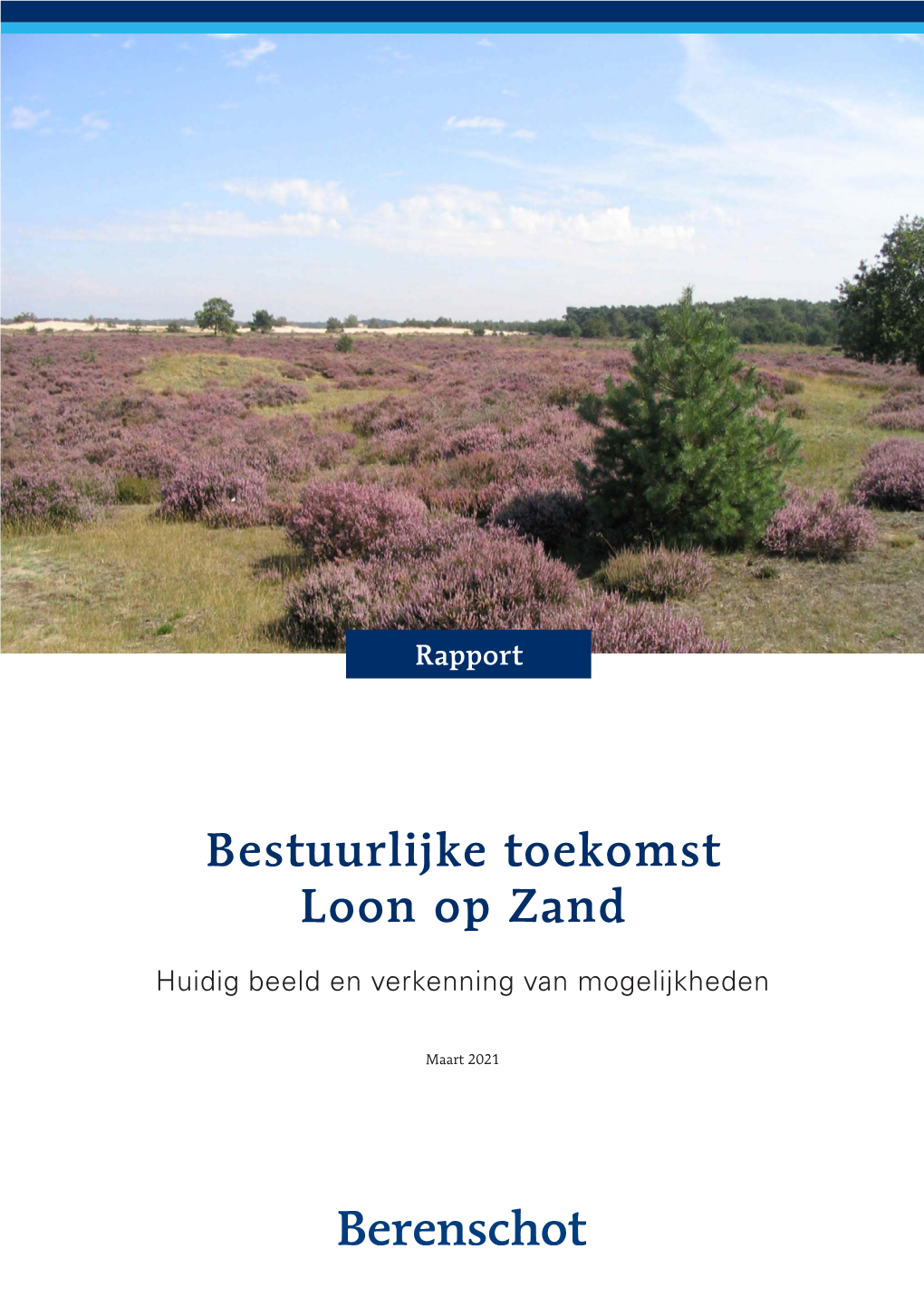 Bestuurlijke Toekomst Loon Op Zand