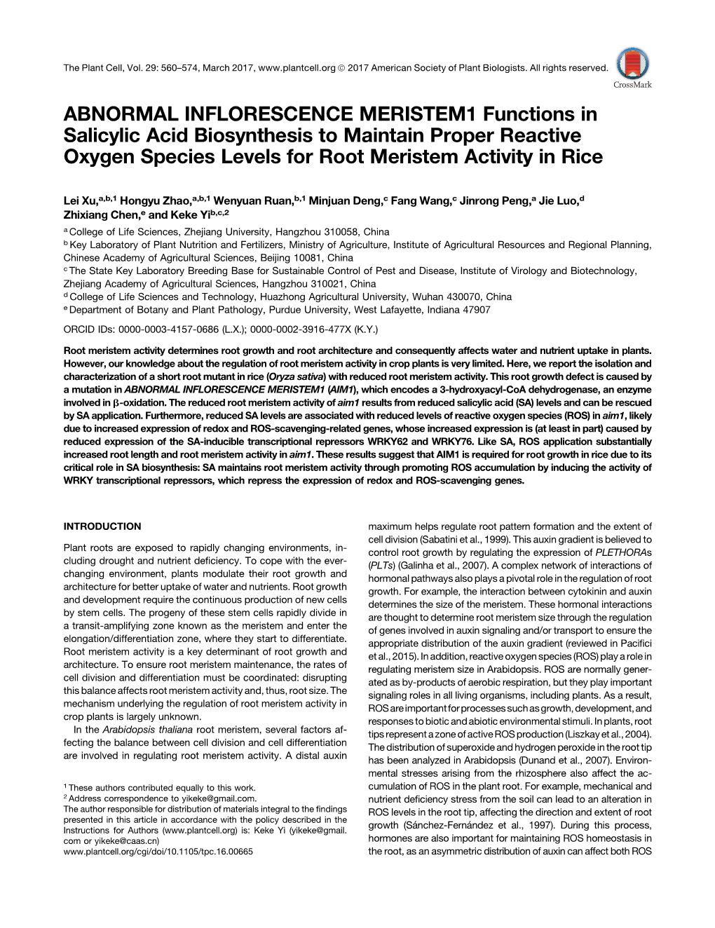 ABNORMAL INFLORESCENCE MERISTEM1 Functions in Salicylic Acid Biosynthesis to Maintain Proper Reactive Oxygen Species Levels for Root Meristem Activity in Rice