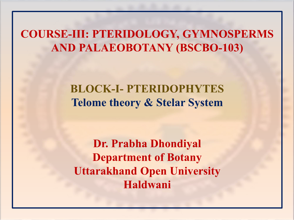 BLOCK-I- PTERIDOPHYTES Telome Theory & Stelar System