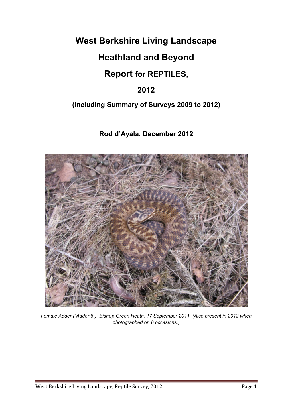 Report for Reptiles 2012