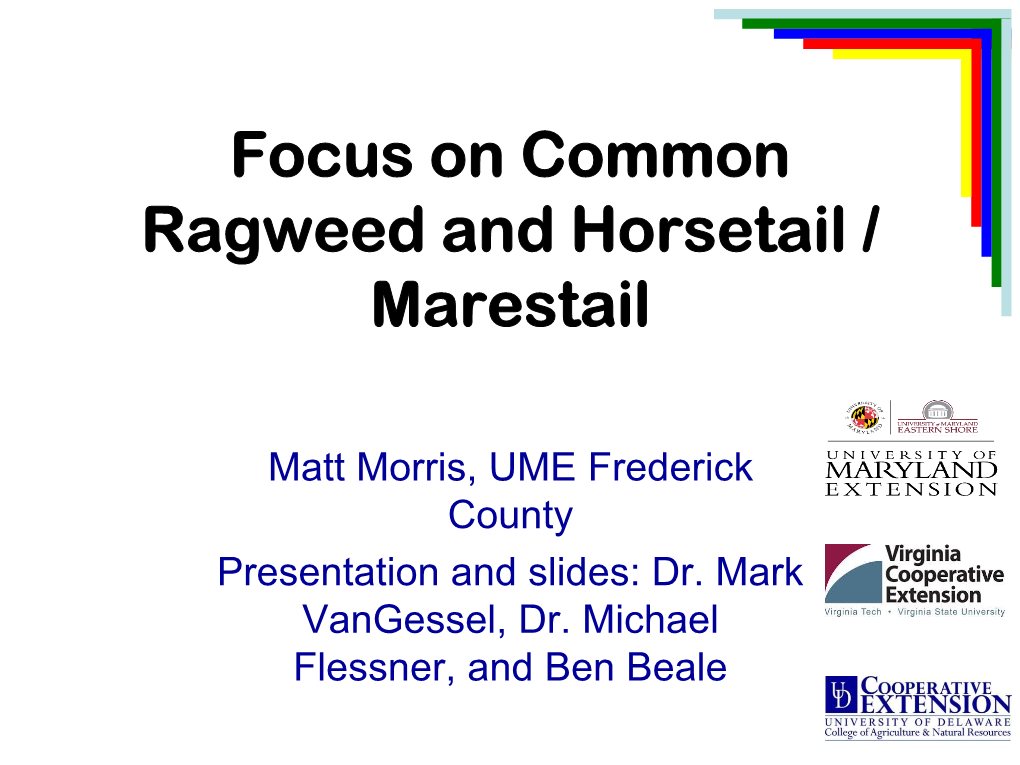 Horseweed Vs. Ragweed