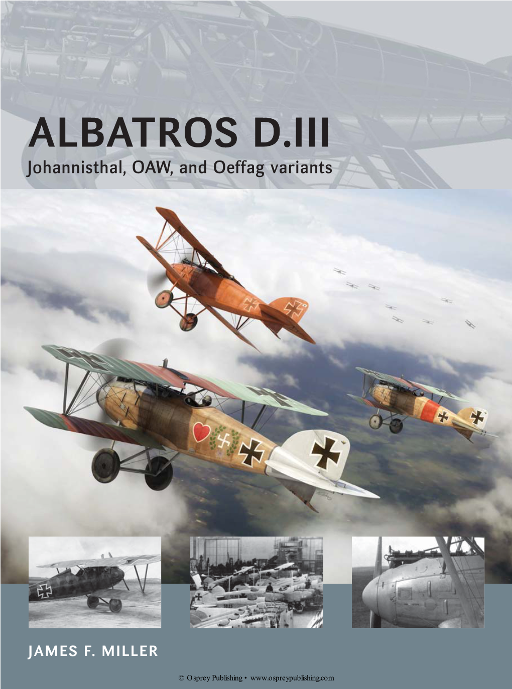 ALBATROS D.III Johannisthal, OAW, and Oeffag Variants