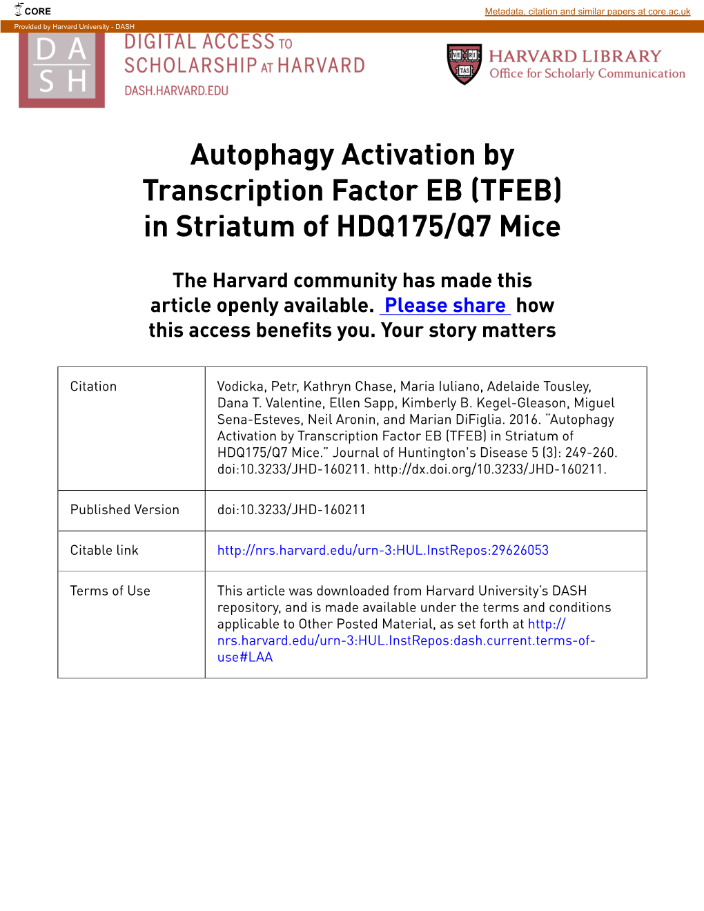 TFEB) in Striatum of HDQ175/Q7 Mice