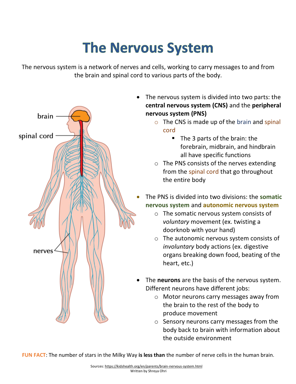 The Nervous System Is a Network of Nerves and Cells, Working to Carry Messages to and from the Brain and Spinal Cord to Various Parts of the Body