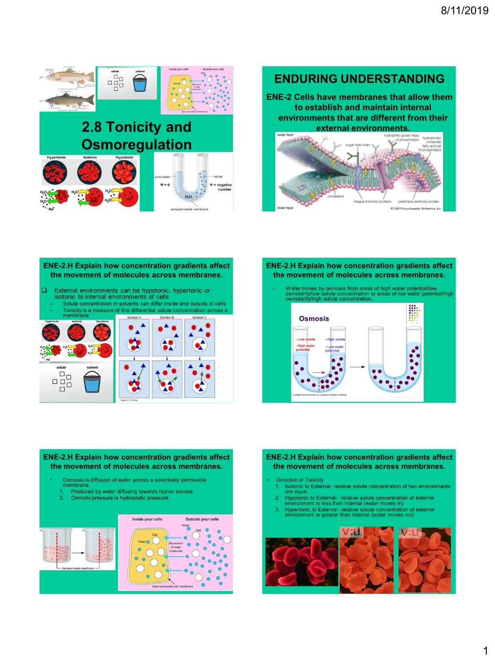 2.8 Tonicity and Osmoregulation