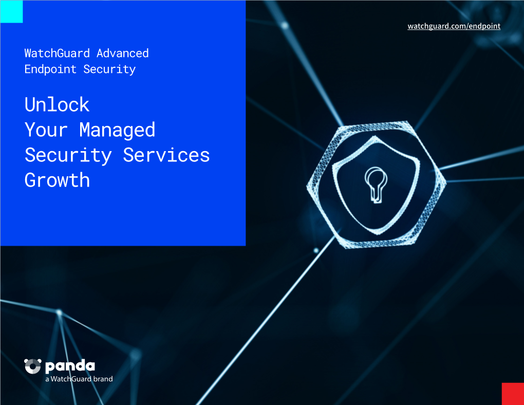 Unlock Your Managed Security Services Growth Understanding Cyber Attacks / 2