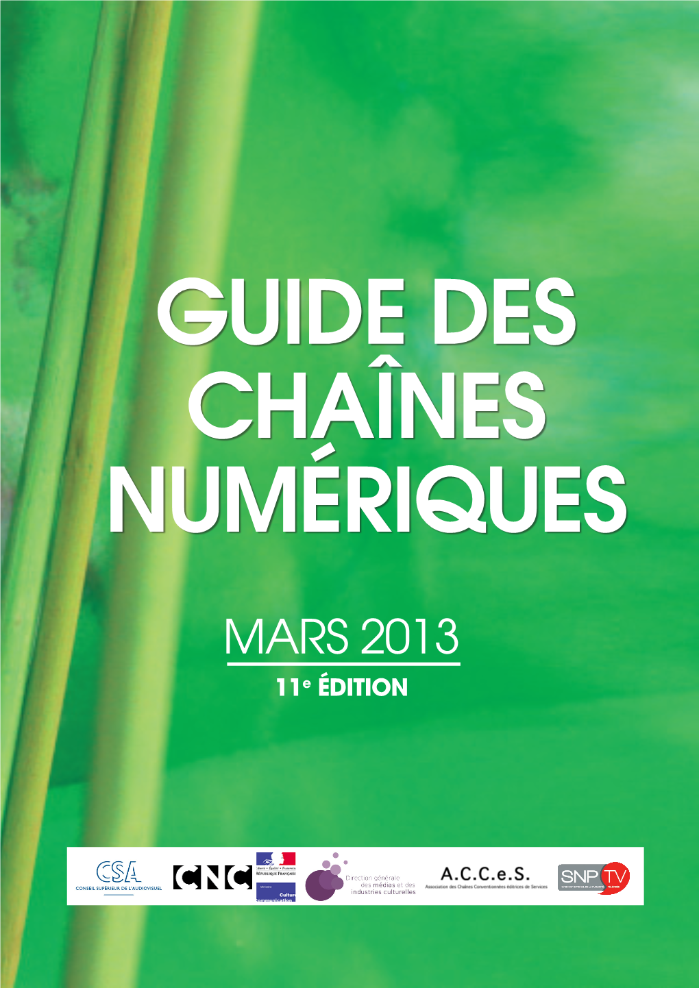 Le Guide Des Chaînes Numeriques 2013 Pdf 1 Mo