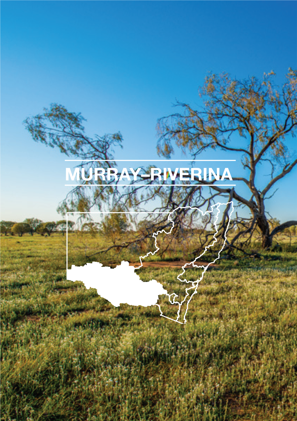 NPWS Pocket Guide 3E (Murray Riverina)