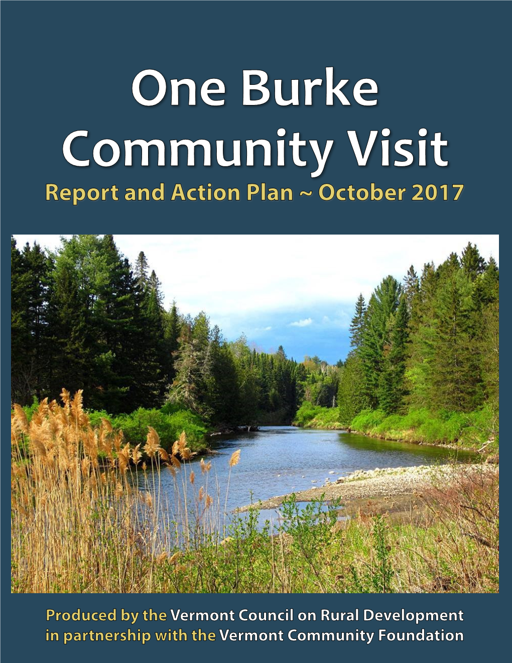 One Burke Priorities Determined by Burke Residents at the VCRD Community Meeting, August 15, 2017